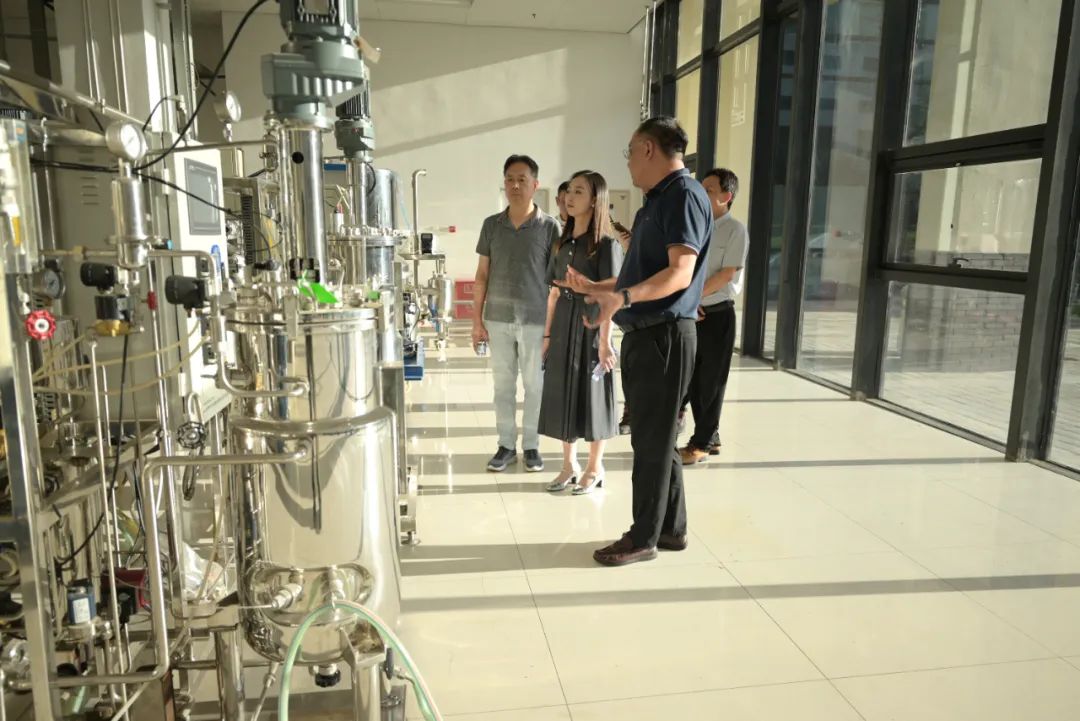 达成共识!三生(中国)与中国食品发酵工业研究院开展合作交流座谈会