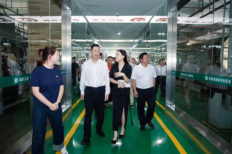 福建省政协原副主席、海峡两岸茶业交流协会会长林钟乐莅临理想华莱调研