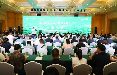 绿之韵胡国安参加湖南黄精论坛 共探黄精产业发展新路径