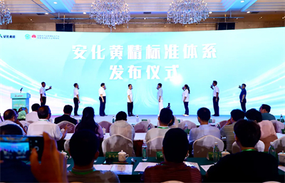 绿之韵胡国安参加湖南黄精论坛 共探黄精产业发展新路径