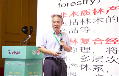 绿之韵胡国安参加湖南黄精论坛 共探黄精产业发展新路径