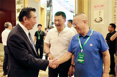 绿之韵胡国安参加湖南黄精论坛 共探黄精产业发展新路径