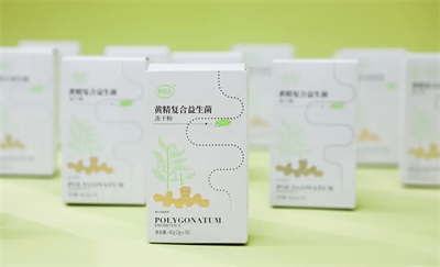 绿之韵胡国安参加湖南黄精论坛 共探黄精产业发展新路径