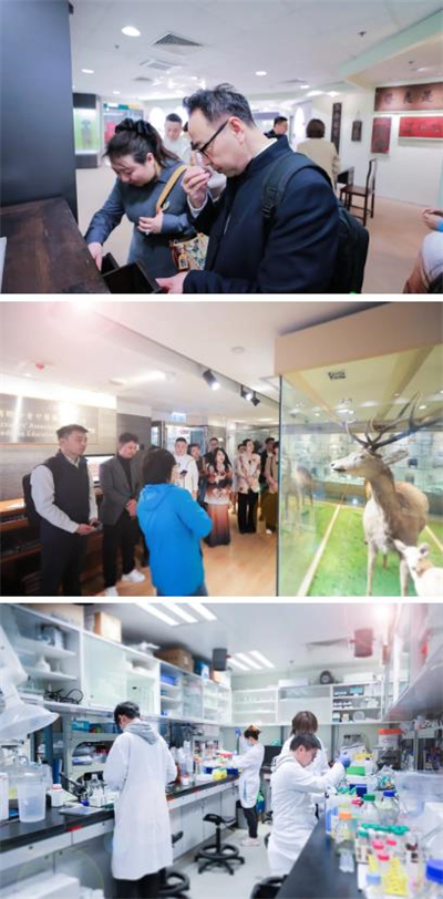 无限极家宴:合伙人与李锦记叙情谊