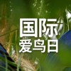 和治友德|国际爱鸟日：用爱守护“飞羽精灵”