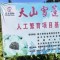 标准引领 金天国际26年攻克雪莲组培技术