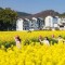 自然阳光“童伴妈妈”：不做过客式公益