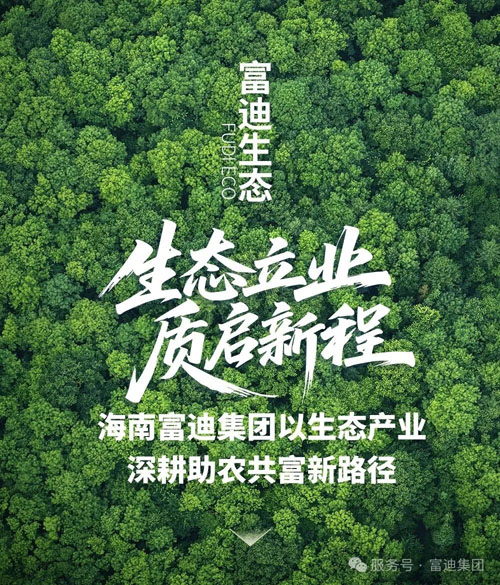 海南富迪集团以生态产业深耕助农共富新路径