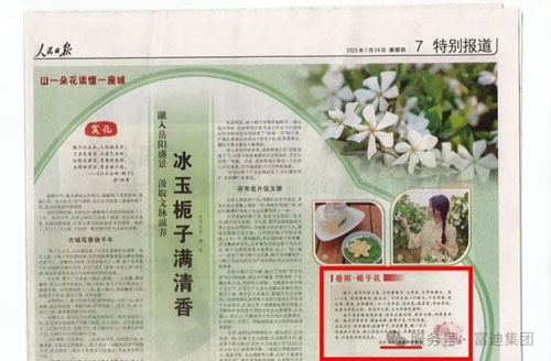 海南富迪集团以生态产业深耕助农共富新路径