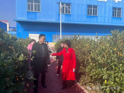 海南富迪集团以生态产业深耕助农共富新路径