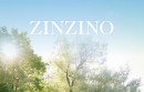 中国市场尚未完全启动，Zinzino已交出超预期答卷