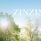 中国市场尚未完全启动，Zinzino已交出超预期答卷