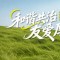 与时代同行 在和治友德 我们如何一起工作
